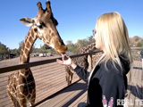 Pasamos la mañana en el zoo con la rubia Katie Kush - Rubias